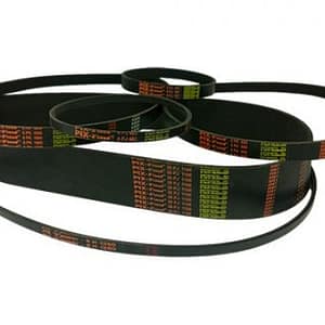 RIBBED BELTS