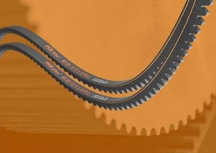 Cogged Classical belts