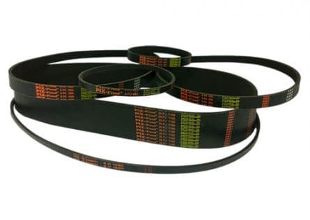 RIBBED BELTS