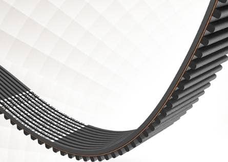 SPECIAL application multi-ribbed Belts-Brawn