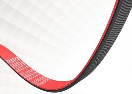 SPECIAL application multi-ribbed Belts-Topcoat