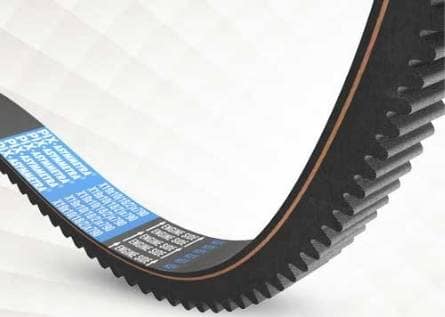 Special application belt-Asymmetra