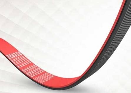 Special APPLICATION BELT-topcoat-xc