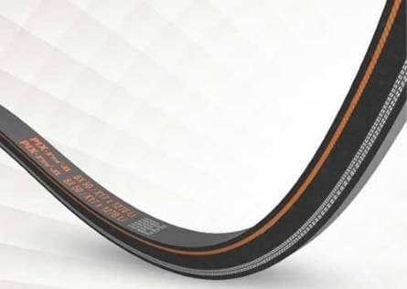 Special Application Belt -xtra-xl