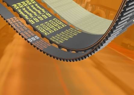 Timing Belts